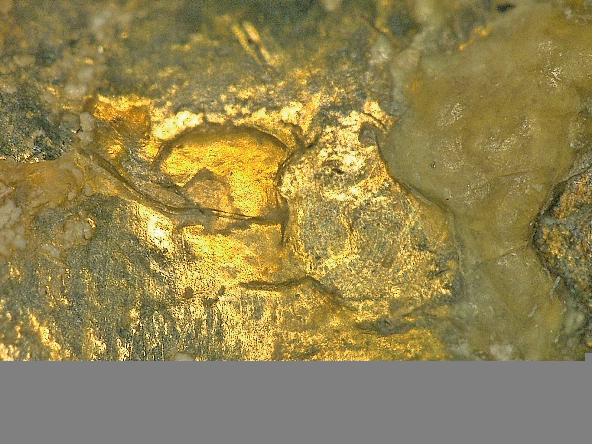 Abb. 9b: Dasselbe Abutment in 100-facher Vergrößerung.