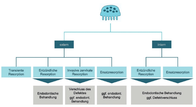 Abb. 13 Schematische Einteilung der Resorptionsarten und der notwendigen therapeutischen Schritte.