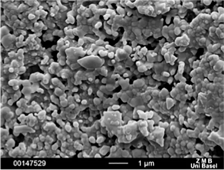 Abb. 6: Intraossäre Oberflächen verschiedener Zirkonoxidimplantate: SEM 10.000x. a: ceramic.implant: Oberfläche gestrahlt, geätzt und getempert (VITA, Bad Säckingen, Deutschland).