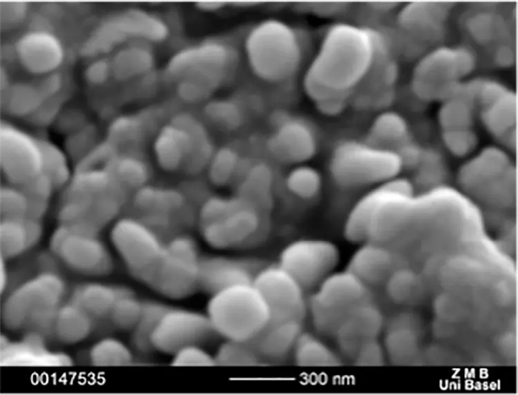 Abb. 6: Intraossäre Oberflächen verschiedener Zirkonoxidimplantate: SEM 50.000x. a: ceramic.implant: Oberfläche gestrahlt, geätzt und getempert (VITA, Bad Säckingen, Deutschland).