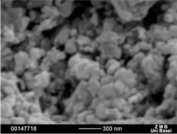 Abb. 6: Intraossäre Oberflächen verschiedener Zirkonoxidimplantate: SEM 50.000x. b: Pure: Oberfläche gestrahlt und geätzt (Straumann, Basel, Schweiz).
