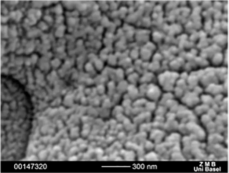 Abb. 6: Intraossäre Oberflächen verschiedener Zirkonoxidimplantate: SEM 50.000x. d: Z5m: Oberfläche gelasert (Z-Systems, Oensingen, Schweiz).
