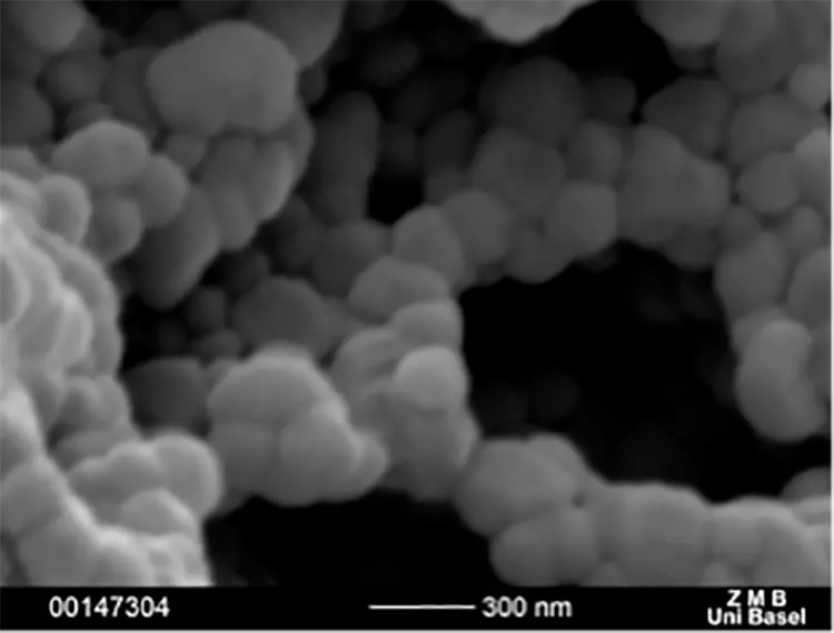 Abb. 6: Intraossäre Oberflächen verschiedener Zirkonoxidimplantate: SEM 10.000x. e: SDS1.1: Oberfläche aufgesintert (Swiss Dental Solutions, Kreuzlingen, Schweiz).