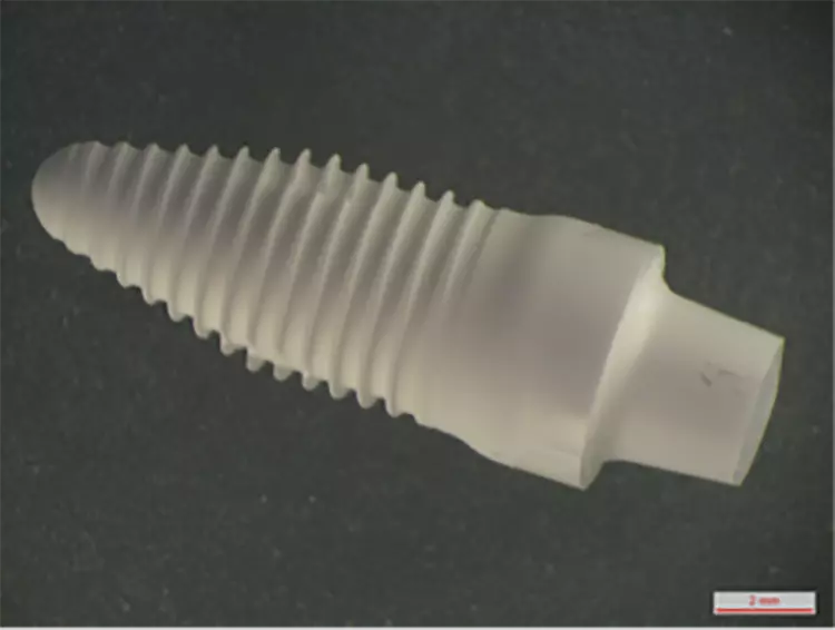Abb. 6: Intraossäre Oberflächen verschiedener Zirkonoxidimplantate: Übersicht. e: SDS1.1: Oberfläche aufgesintert (Swiss Dental Solutions, Kreuzlingen, Schweiz).