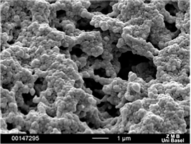 Abb. 6: Intraossäre Oberflächen verschiedener Zirkonoxidimplantate: SEM 50.000x. e: SDS1.1: Oberfläche aufgesintert (Swiss Dental Solutions, Kreuzlingen, Schweiz).