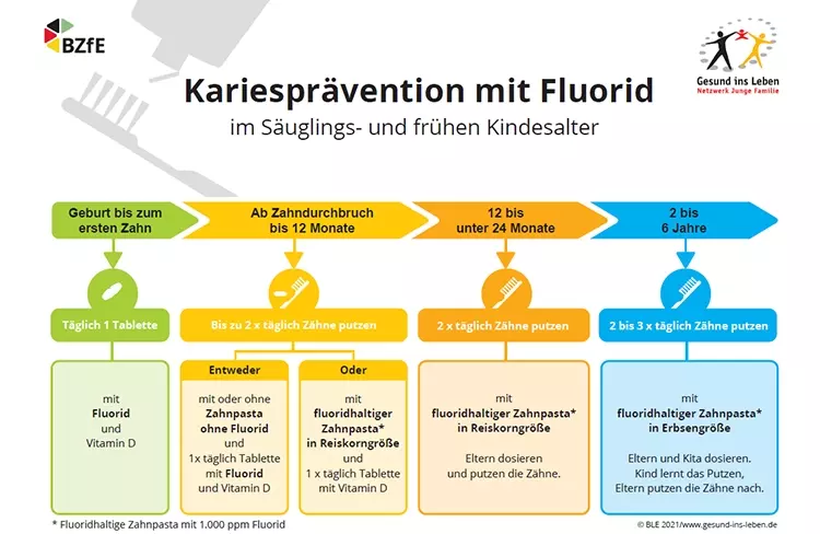 Abb. 10: Einheitliche Empfehlungen zur Kariesprävention im frühen Kindesalter in Deutschland. Diese stellen einen Konsens einer nationalen Gruppe von Expertinnen
und Experten aus den für den Themenbereich Kariesprävention mit Fluorid relevanten Fach- und Berufsverbänden statt.