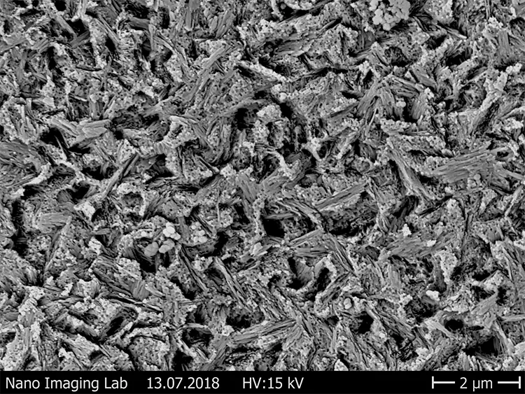 Abb. 15: Ätzmuster von Restaurationsmaterialien nach Ätzung über 30 Sekunden mit 5%iger HF. c: IPS e.maxCAD (Ivoclar Vivadent).
