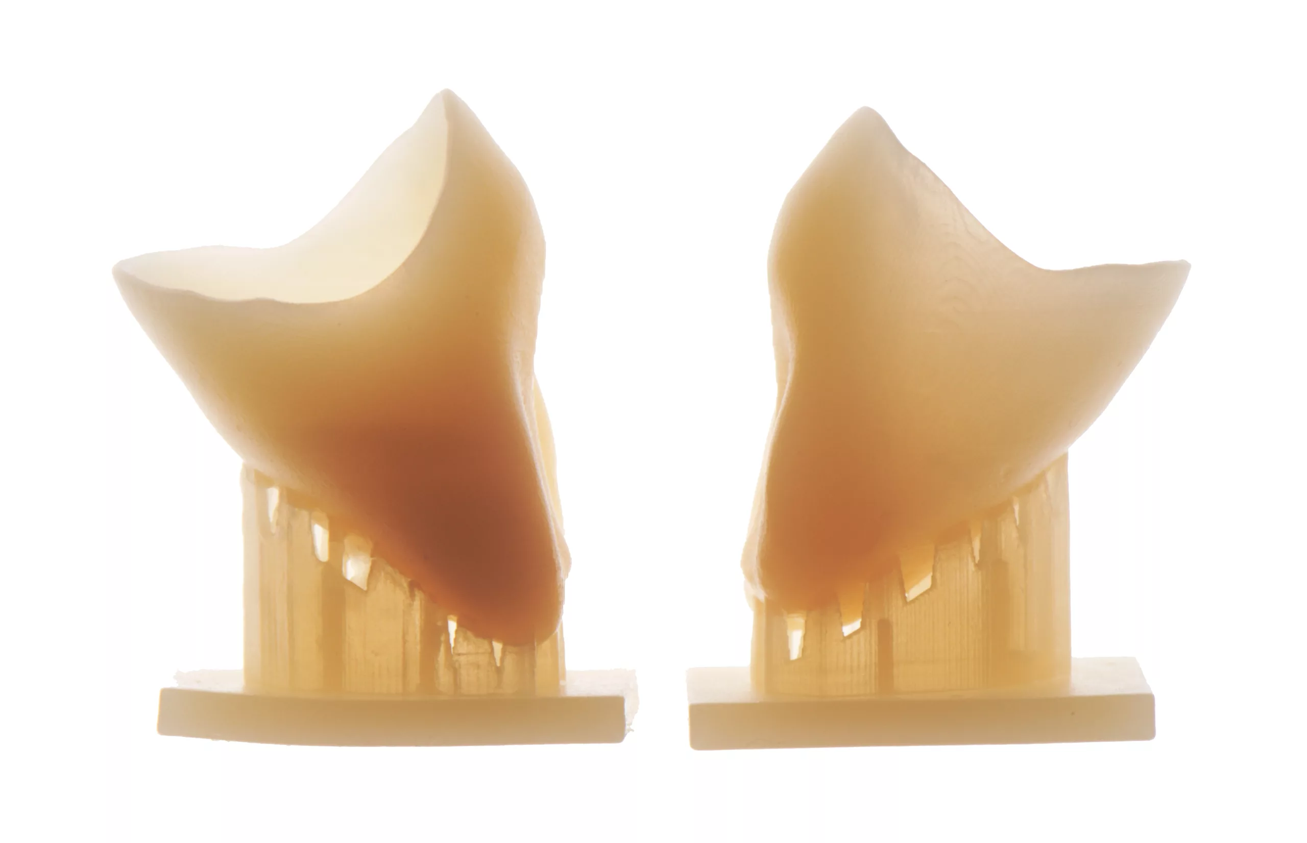 Abb. 29: Mittels Lithoz CeraFab S65 Medical-3D-Drucker im LCM-Verfahren hergestellte Kronen aus Lithiumdisilikat mit Stützstrukturen nach dem Kristallisationsbrand.