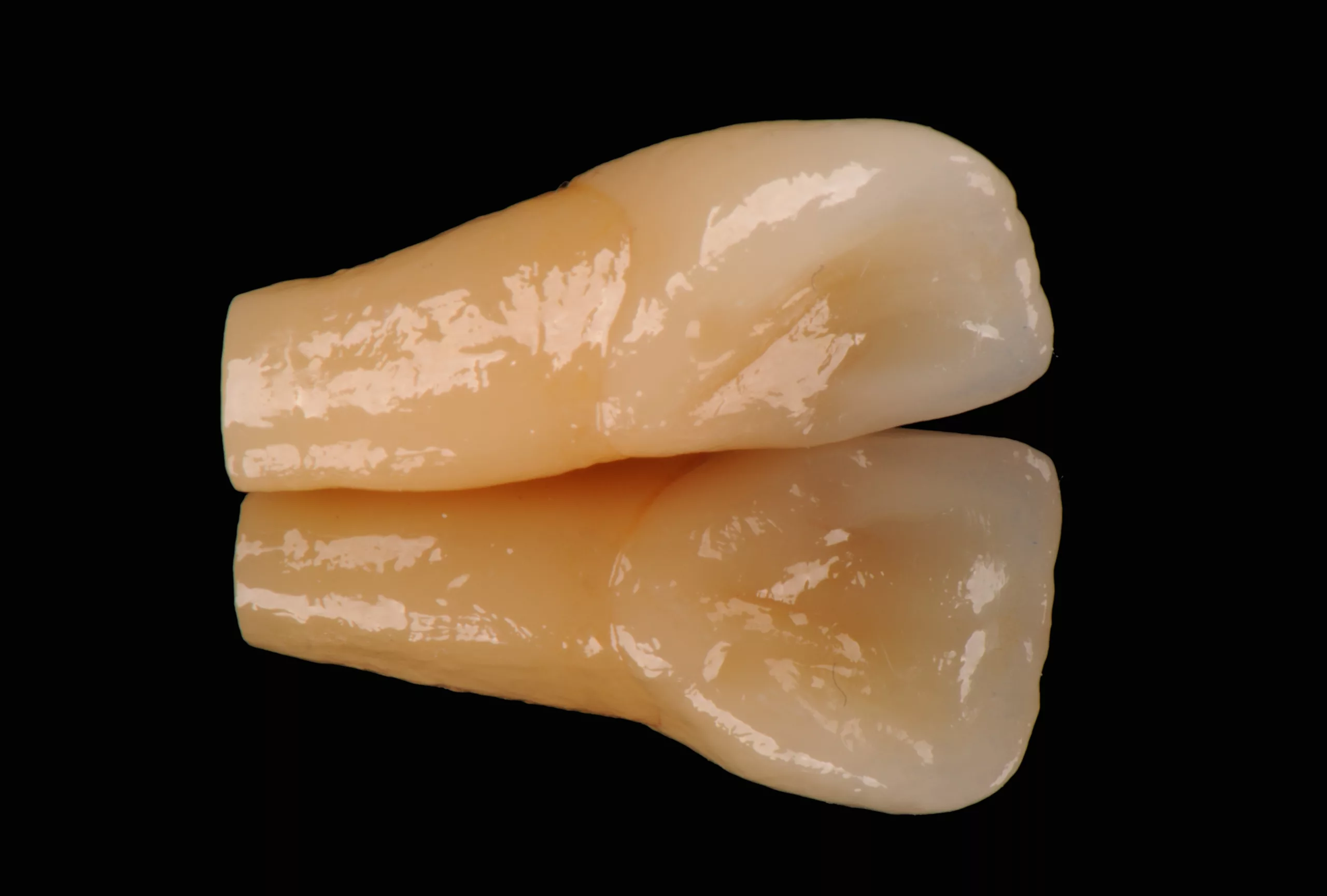 Abb. 33: Mittels Lithoz LCM-3D-Druckverfahren mehrschichtig gedruckte Zähne aus Lithiumdisilikat auf der Basis von Daten aus der „Schweiger Zahnstrukturdatenbank“.