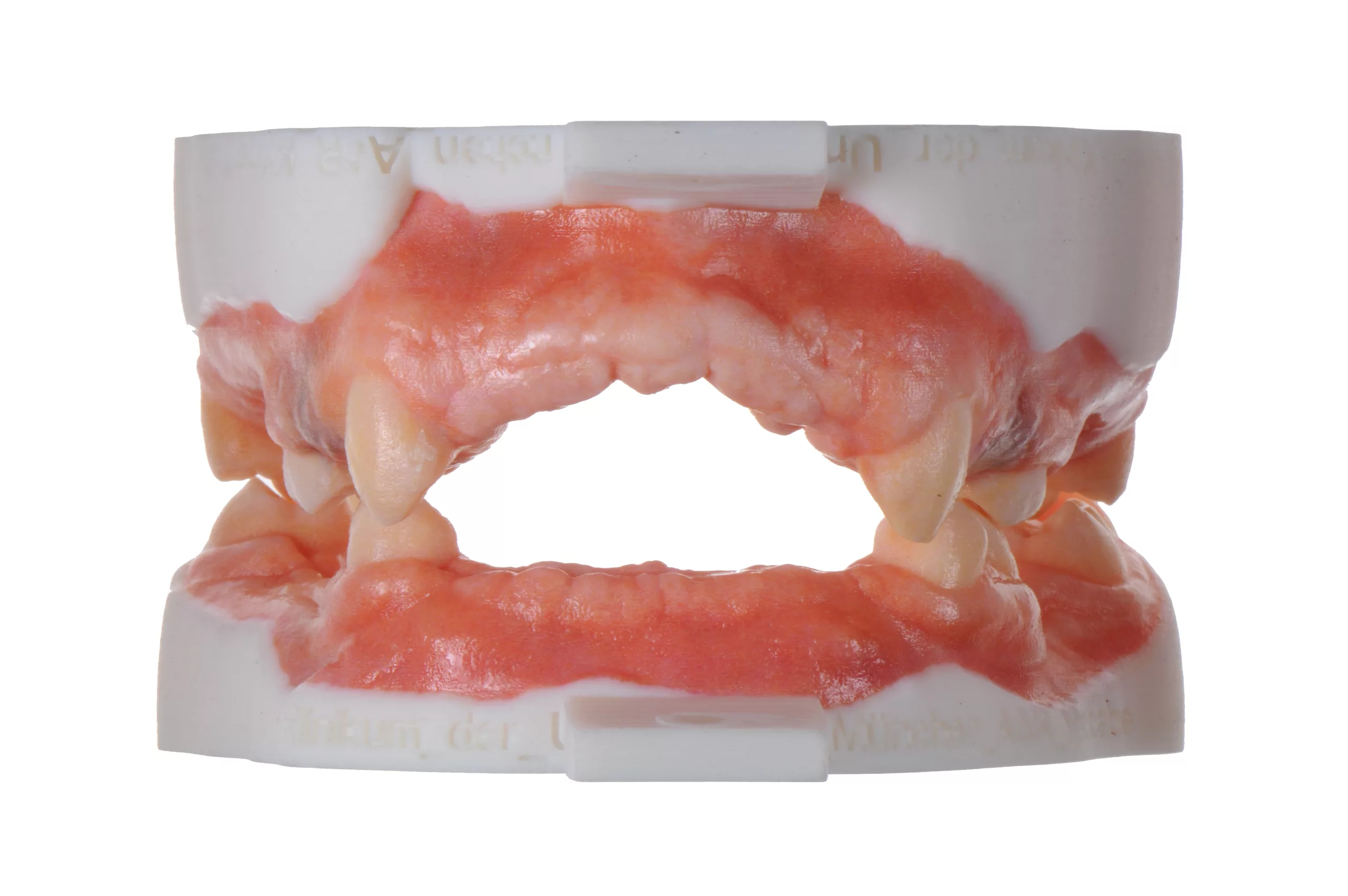 Abb. 39: Von der 3D medical print KG mittels Polyjet-Technologie (Stratasys) gedruckte graphische 3D-Modelle.