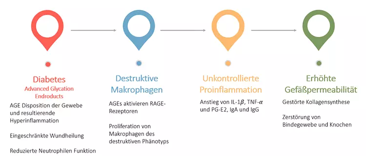 Abb. 3: Zusammenhang von Diabetes und gestörter Wundheilung [20].