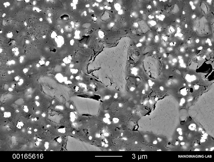 Abb. 3: Typische Gefüge dentaler Befestigungsmaterialien. Füller (hell) sind in eine Kunstharzmatrix (dunkel) eingebettet. d: Multilink SpeedCem (Ivoclar Vivadent).