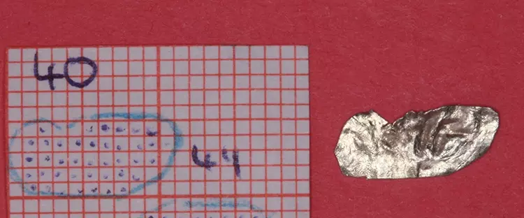 Abb. 9: Probepräparation am Studienmodell (Oralansicht).