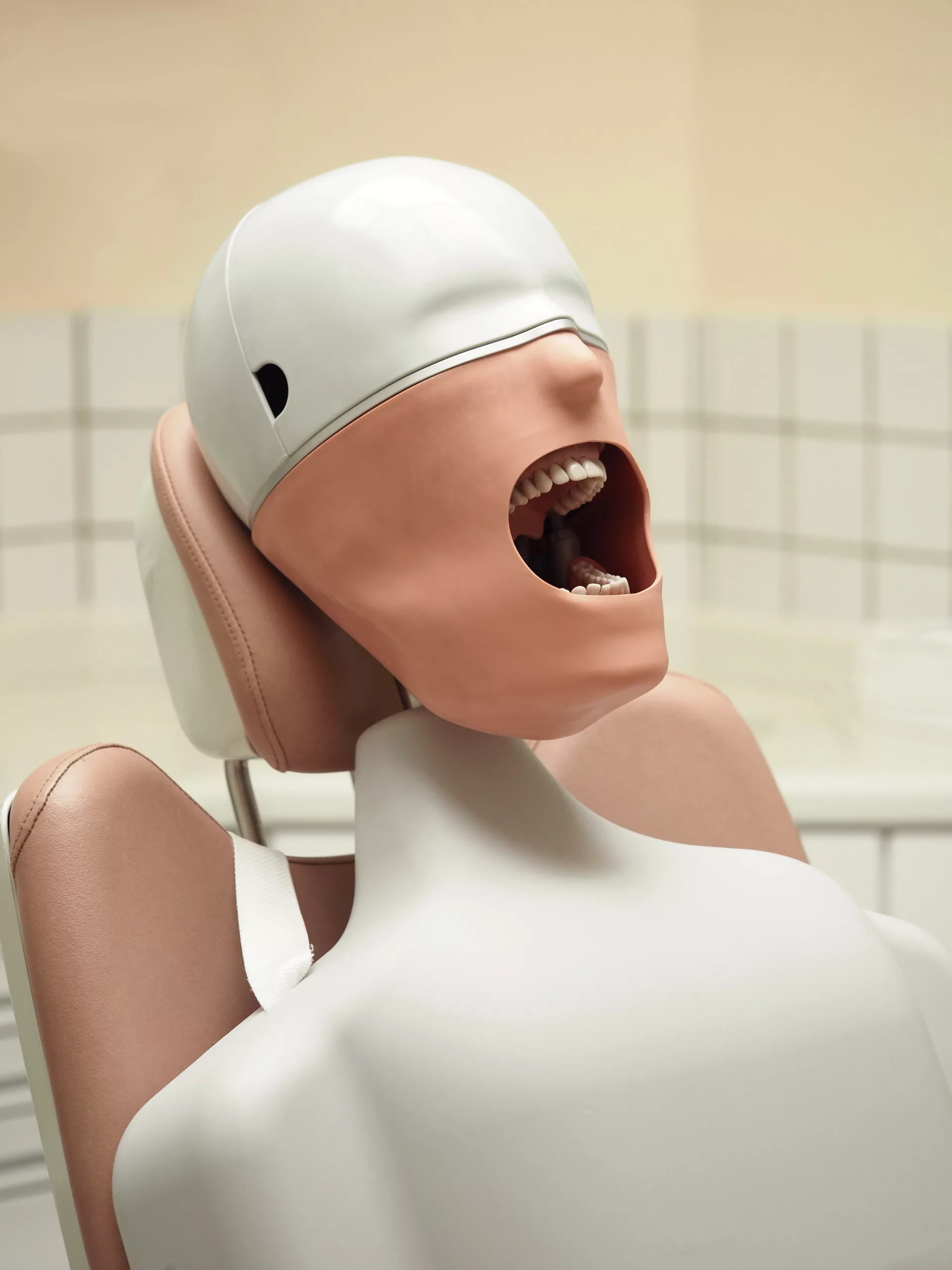 Abb. 4a: Unser erster Patient: der Phantomkopf (zum Nachstellen der Arbeiten ausgeliehen; auf dem Bild: frasaco; in der Zahnklinik: KaVo).
