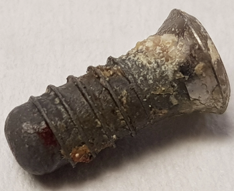 Abb. 11: Implantatschraube nach Explantation.