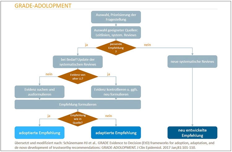 Abb. 1: Prozess des ADOLOPMENT (übersetzt und modifiziert nach [26]).