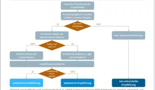 Prozess des ADOLOPMENT (übersetzt und modifiziert nach [26]).