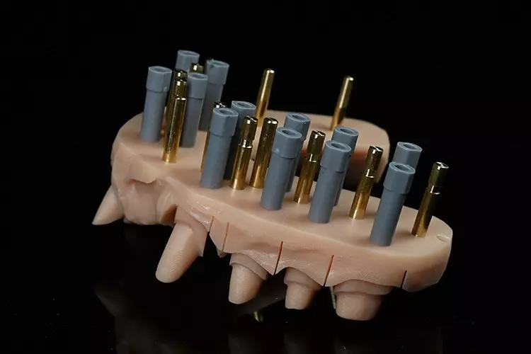 Abb. 2: ... von Sägemodellen.