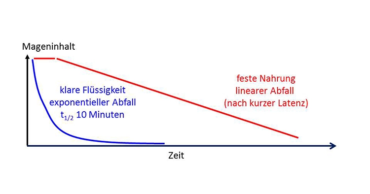 Abb. 1: Klare Flüssigkeit verlässt im Gegensatz zu fester Nahrung den Magen sehr schnell.