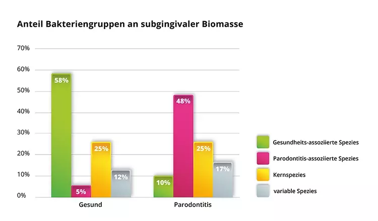 Abb.2: Veränderungen in der Zusammensetzung des oralen Mikrobioms im gesunden vs. erkrankten Parodont als Anteil der einzelnen Gruppen an der subgingivalen Biomasse (mod. nach [3]).