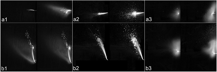 Abb. 4: Aerosolbildung und Ausbreitungstendenz der maschinellen Scaler. Direkt nach Betätigen des Motors und nach 2-sekündiger Bewegung der Instrumentenspitze. a1 und a2) verschiedene Ultraschallscaler, a3) Schallscaler. Die Bilder a1 bis a3 zeigen die schwingenden Spitzen von oben und die Bilder b1 bis b3 sind aus seitlicher Position aufgenommen (Fläche: 0,8 x 1,5 m), (Originalabbildung aus Graetz, Bielfeldt [32]).