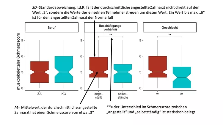 Abb. 1: Auswirkung von Beruf, Beschäftigungsverhältnis und Geschlecht auf den Schmerzscore.