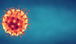 Virus