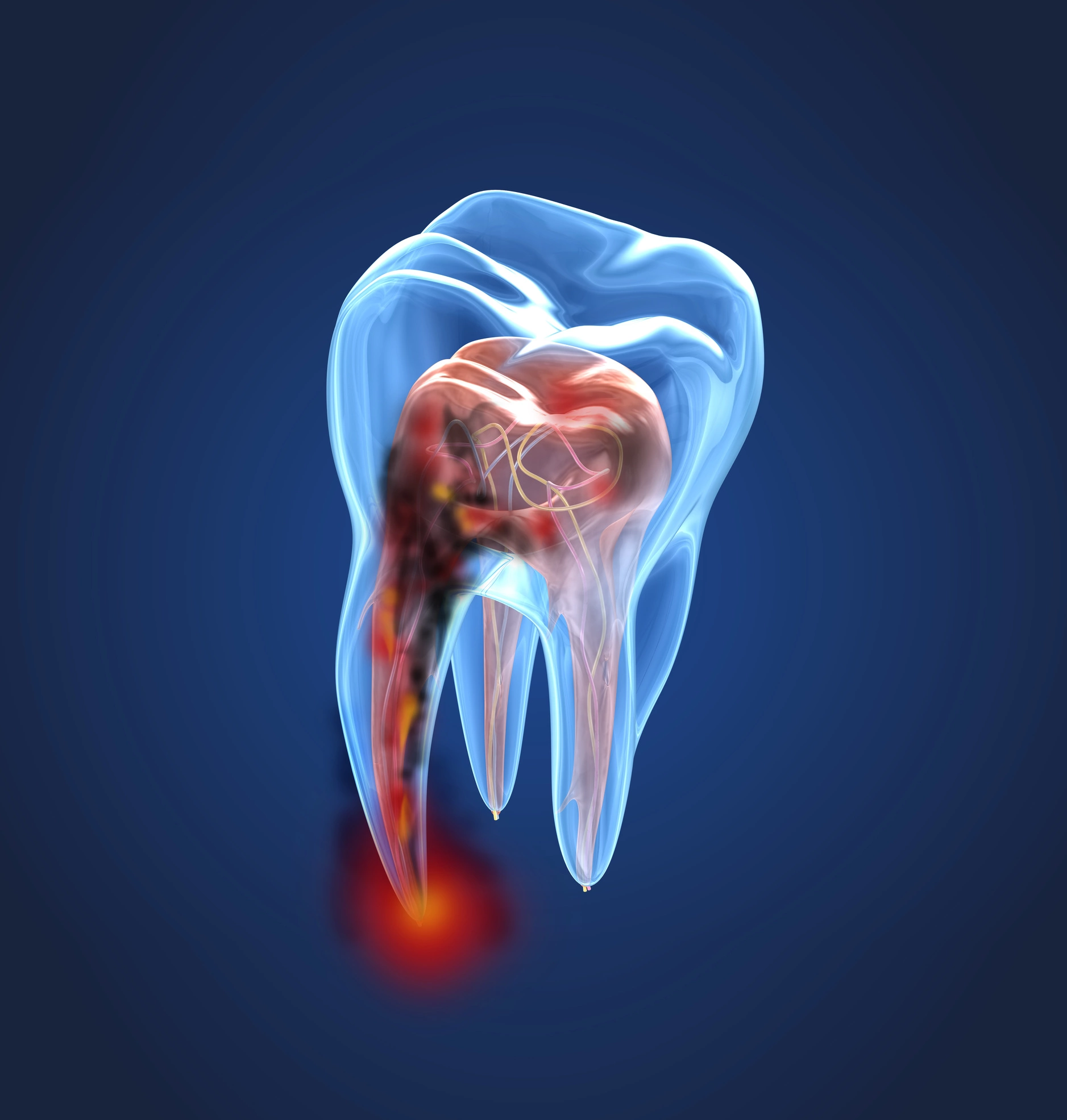Berliner ZÄ-Tag unter dem Motto: Endodontie – weil mehr geht, als man denkt.