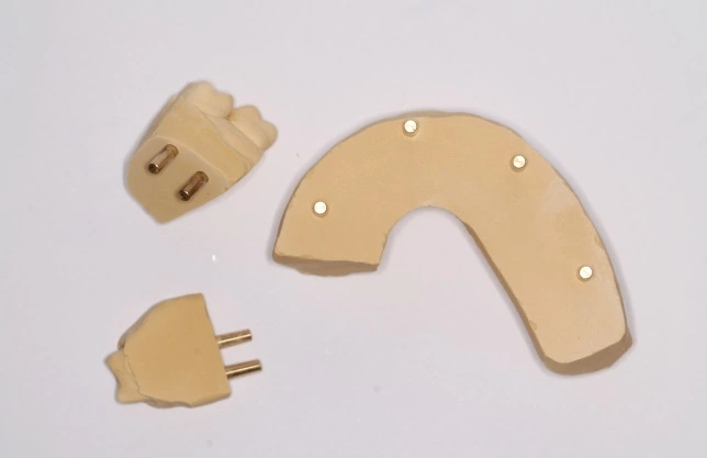 Abb. 4: Einzelne  Modellsegmente.
