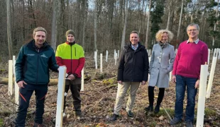 Dentaurum stiftet 400 Bäume für den Hohberg.
