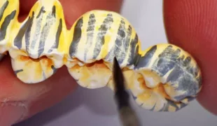 Auftrag von der Kaufläche zur Schneidefläche.