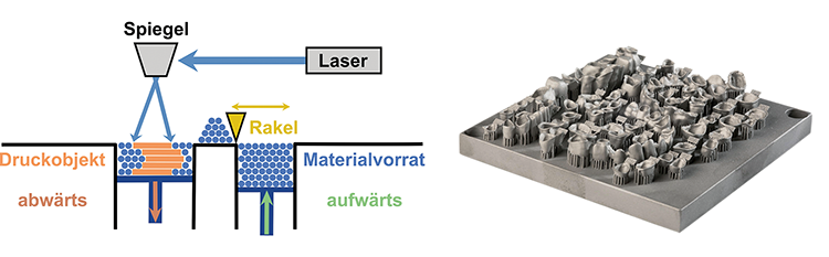 Abb. 4: (a) Schematischer Aufbau des selektiven Laserschmelzens: Beim Druck wird aus dem Vorrat Schicht
für Schicht neues Material durch eine Rakel in den eigentlichen Druckbereich überführt. Dort wird das
Material durch einen Laser über einen Spiegel aufgeschmolzen. Danach wird die Druckplattform abgesenkt
und eine weitere Schicht aufgebracht.
(b) Bauplattform mit Zahnersatz nach der Entfernung von überschüssigem Pulver.