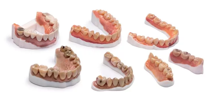 Die J5 DentaJet produziert 3D-gedruckte, realistische Fallpräsentationen, die bisher nur mit zeitaufwändigen Wachsmodellen möglich waren. Die hohe Auflösung der PolyJet-Materialien mit einer Genauigkeit von bis zu 18,75 Mikrometern ermöglicht das Einsetzen von Kronen und Brücken innerhalb von Minuten.