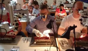 Im Mai 2020 startet der Masterabschluss im Bereich der Parodontologie und Implantattherapie.