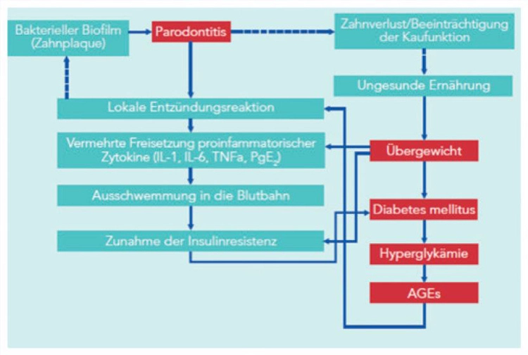 Interdisziplinäre Auswirkungen.