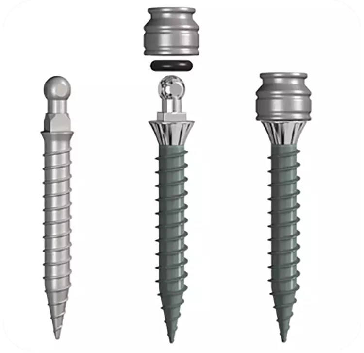 Abb. 1: DMini-Implantate von condent.