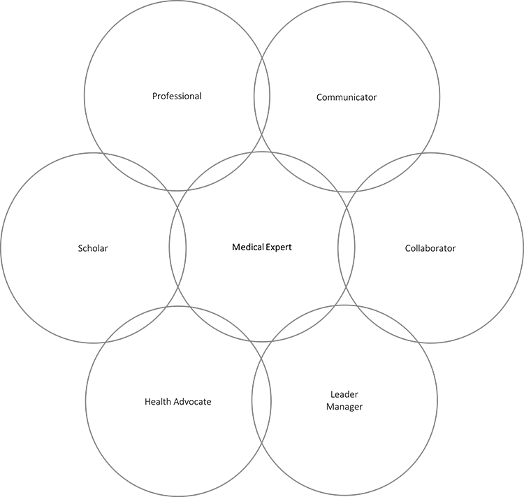 Abb. 3: Die CanMEDS-Rollen (nach [7]).