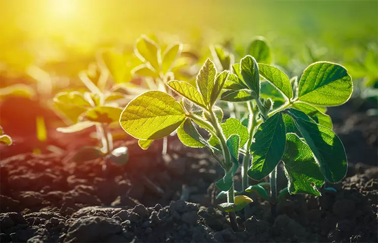 Das erklärte Ziel von TePe – Bis Ende 2022 alle Produkte und Verpackungen CO2-neutral anzubieten.