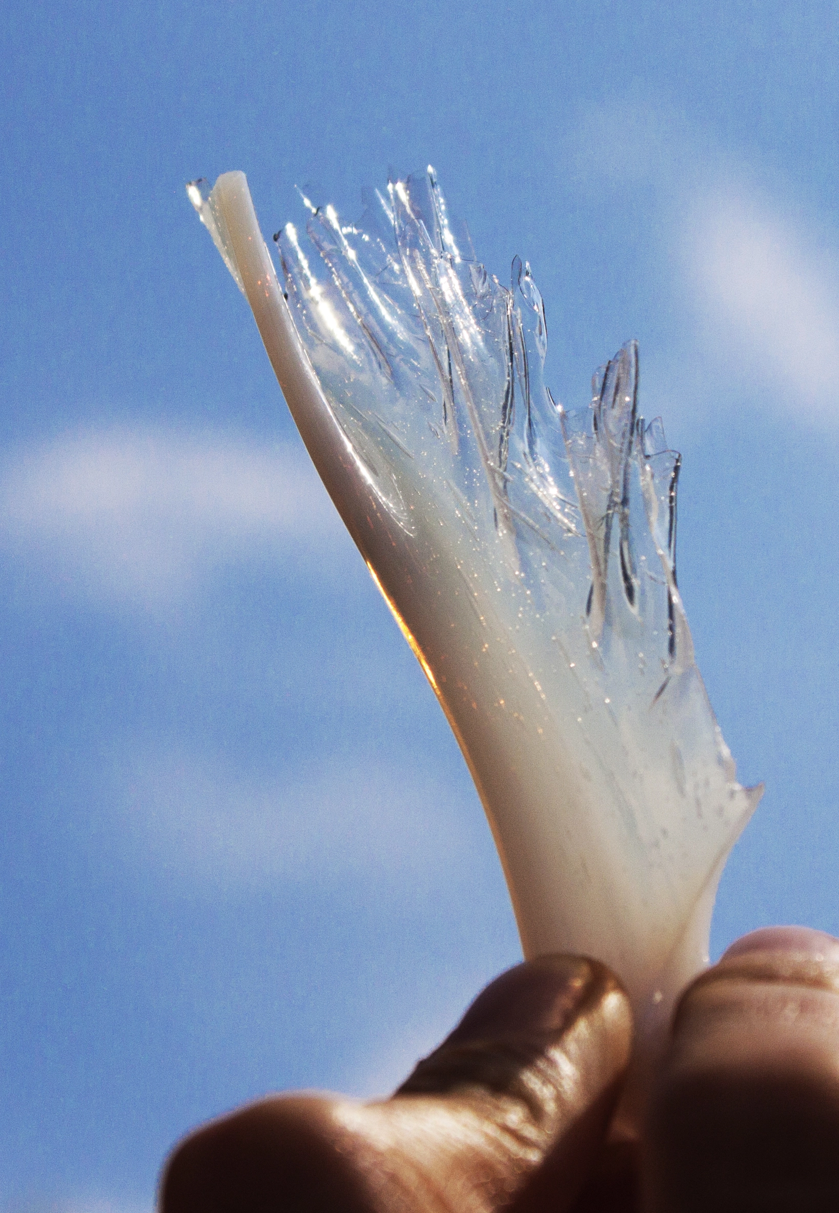 Die Glasmasse vor der Zerkleinerung.