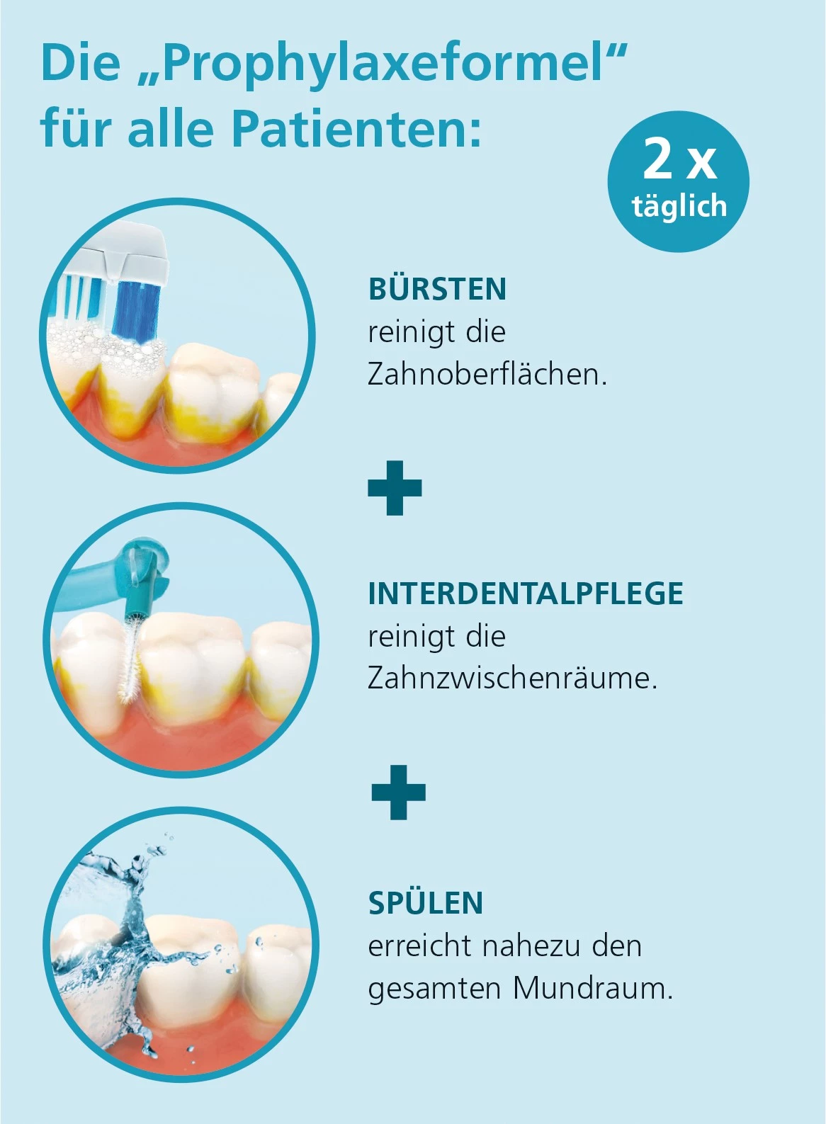 Empfehlung für die häusliche Prophylaxe.