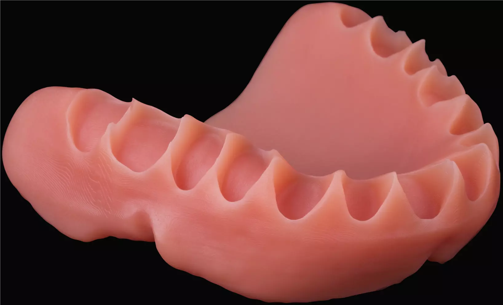FotoDent® denture garantiert nicht nur eine schnelle und sichere Herstellung, sondern auch eine 1:1 Reproduzierbarkeit.