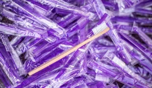 Die ECObrush und ihre weniger nachhaltige Alternative aus Plastik.