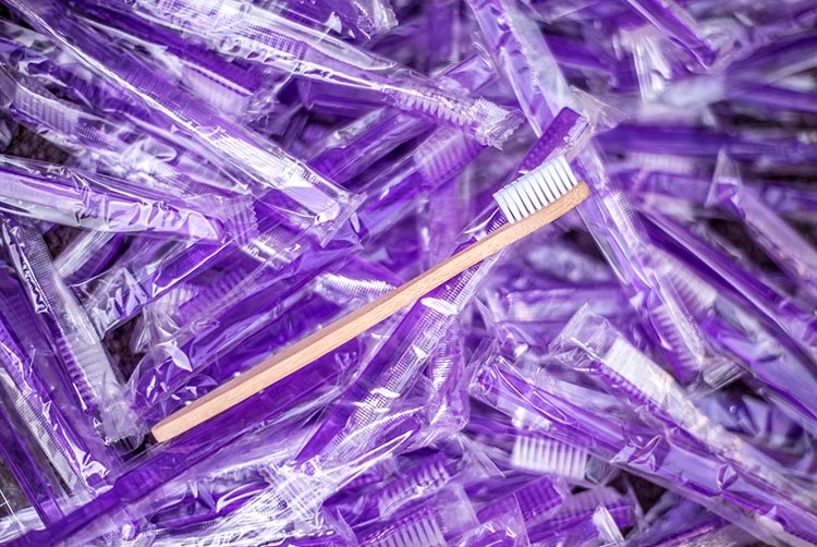 Die ECObrush und ihre weniger nachhaltige Alternative aus Plastik.