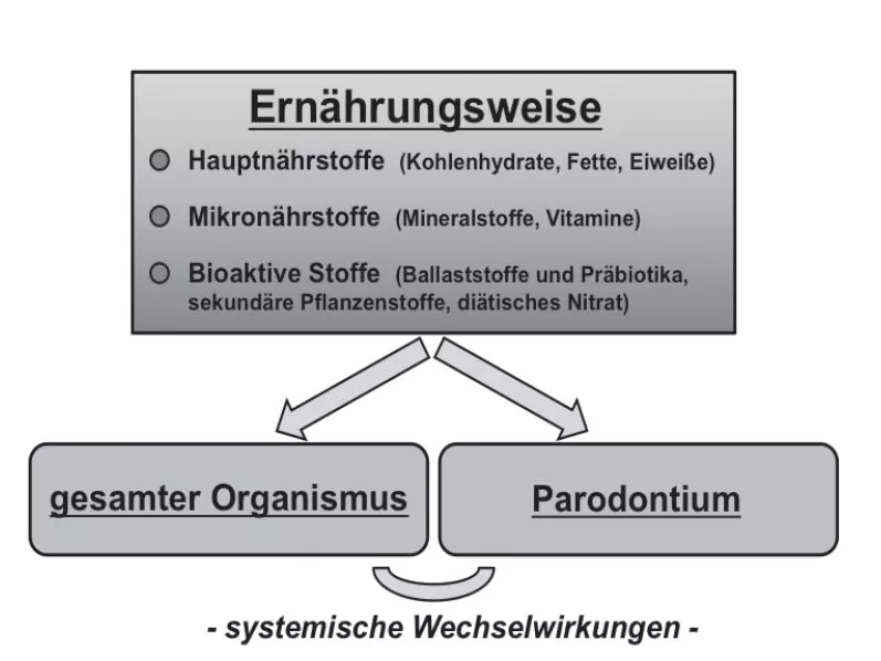 Abb. 1: Komponenten der Ernährung: Einfluss auf den menschlichen Organismus.