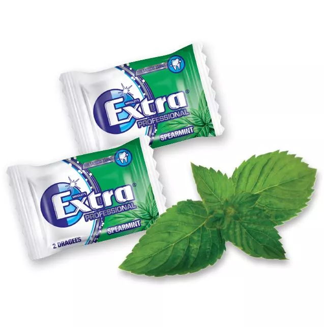 Der neue Extra Professional Spearmint verbindet Zahnpflege mit erfrischend-belebendem Pfefferminzgeschmack.