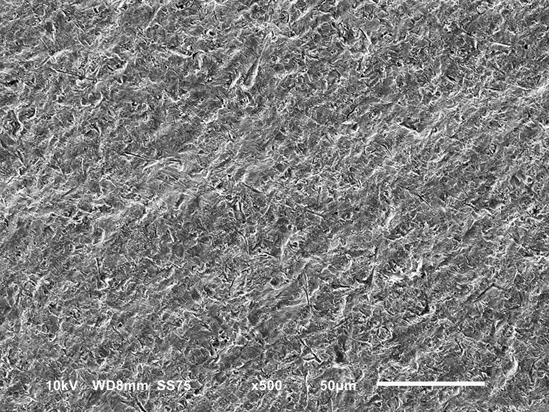 Abb. 3: Dentinoberfläche nach Verwendung eines Calciumcarbonat-Prophylaxepulvers.