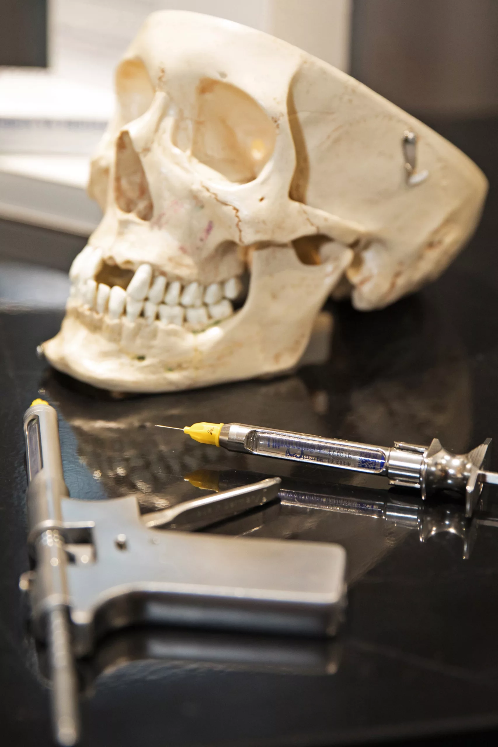 Kiefermodell Injektionstechniken