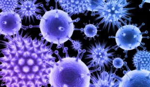 Fortlaufende Informationen der KZBV über das Coronavirus auf www.kzbv.de/coronavirus