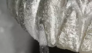 .