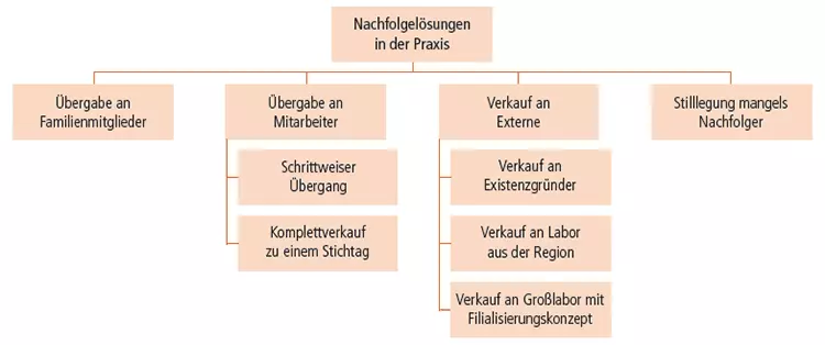 Abb. 1: Vielfältige Optionen in der Nachfolge, die alle guter Vorbereitung bedürfen.